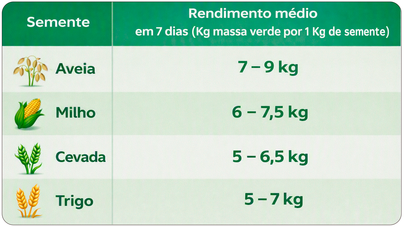 sem título 3