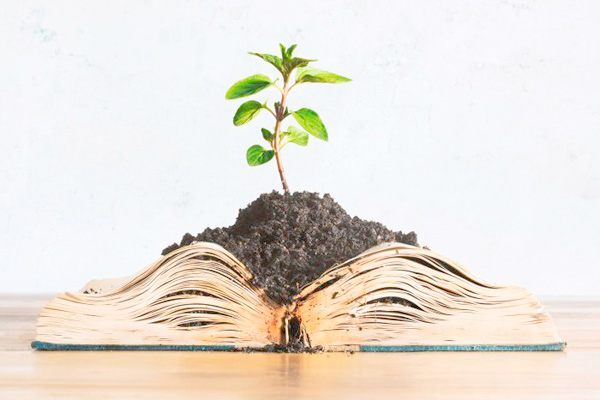 books tree 24.05.2021