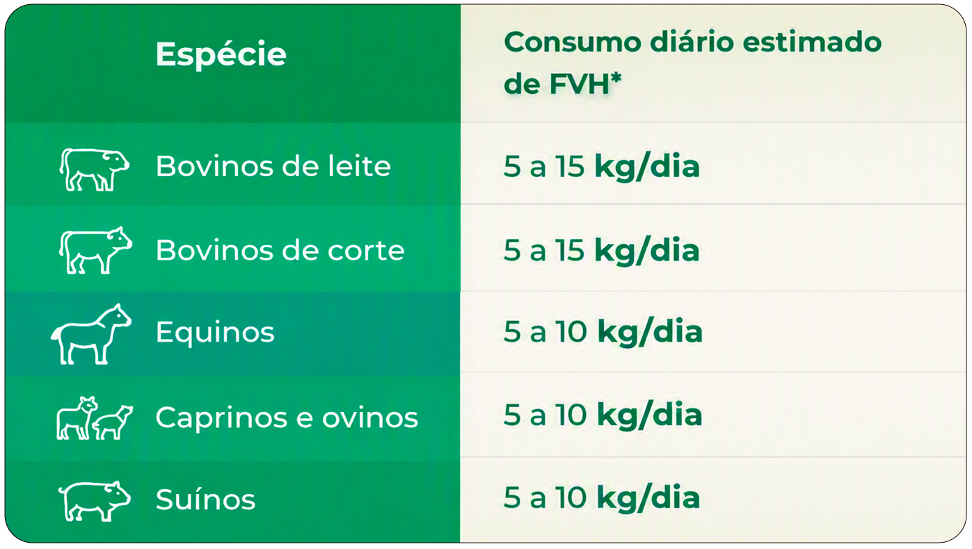 Consumo Animal especie