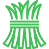 icons8 feno 100